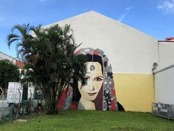 Little India Conservation Area (D8), Shop House #485268921